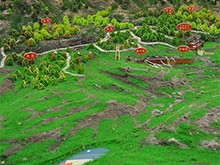 工业沙盘模型制作全解析